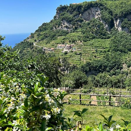 Agriturismo Orrido Di Pino Villa Agerola Exterior photo