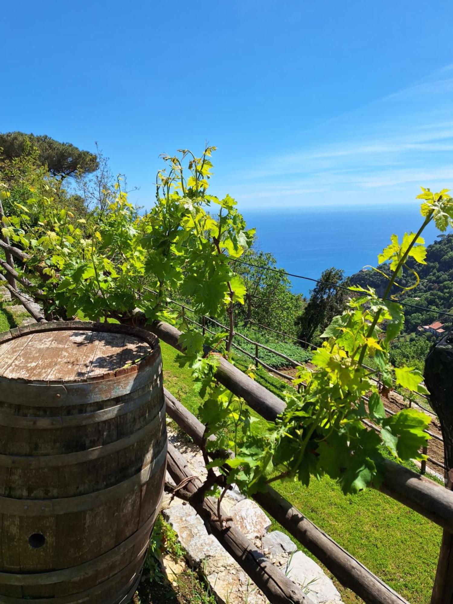 Agriturismo Orrido Di Pino Villa Agerola Exterior photo