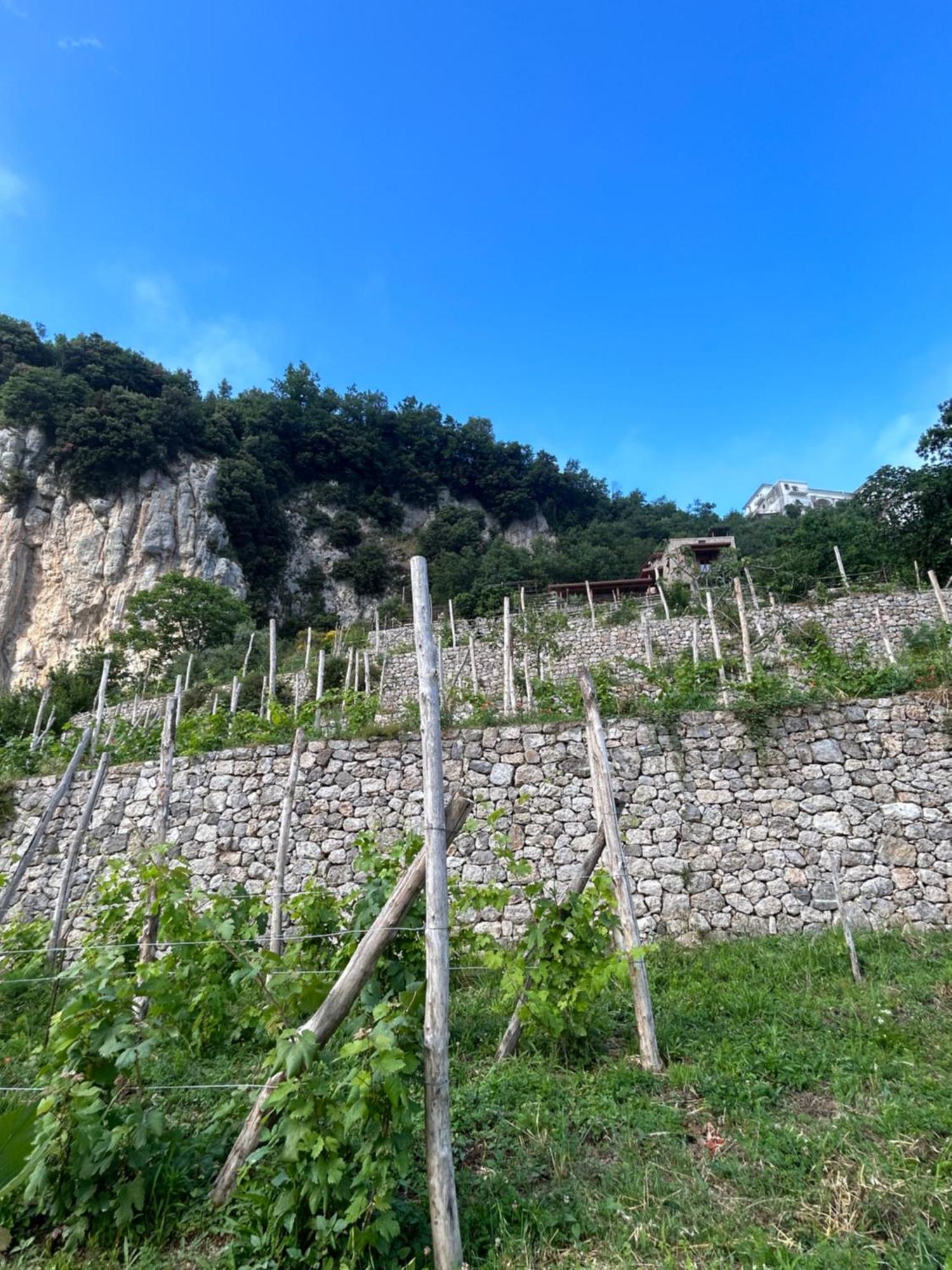 Agriturismo Orrido Di Pino Villa Agerola Exterior photo