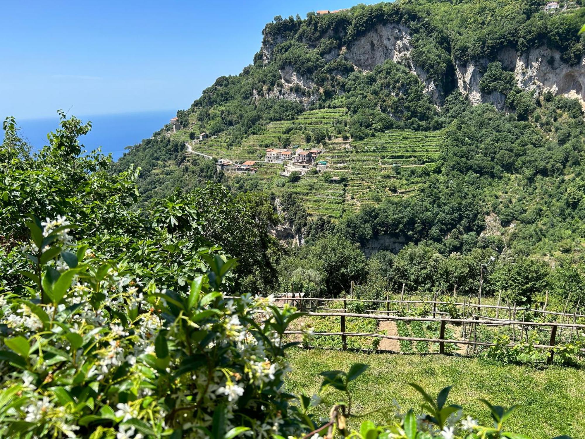 Agriturismo Orrido Di Pino Villa Agerola Exterior photo