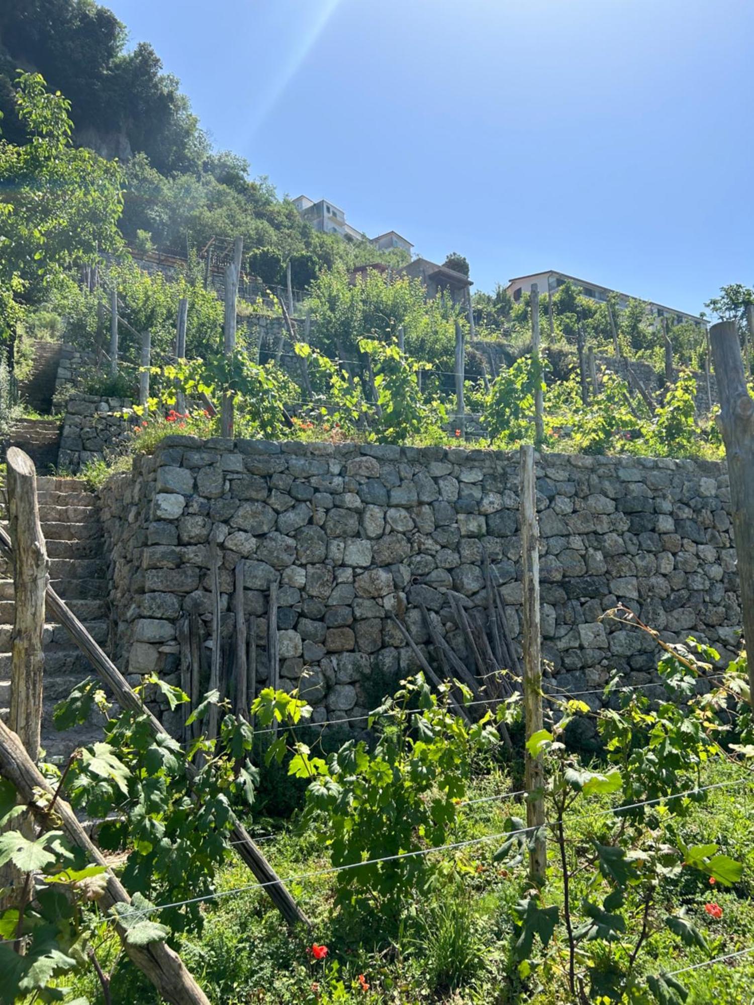 Agriturismo Orrido Di Pino Villa Agerola Exterior photo